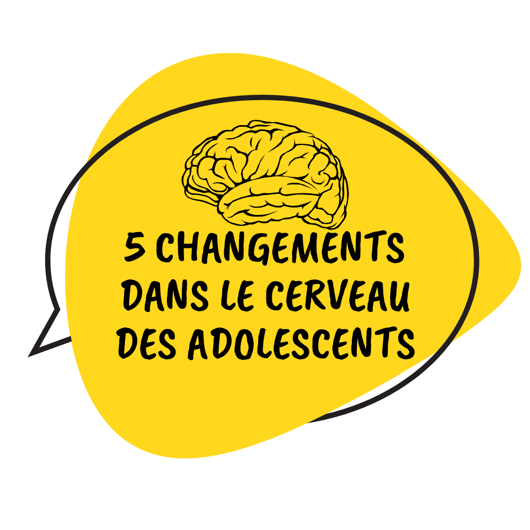 5 changements dans le cerveau des adolescents