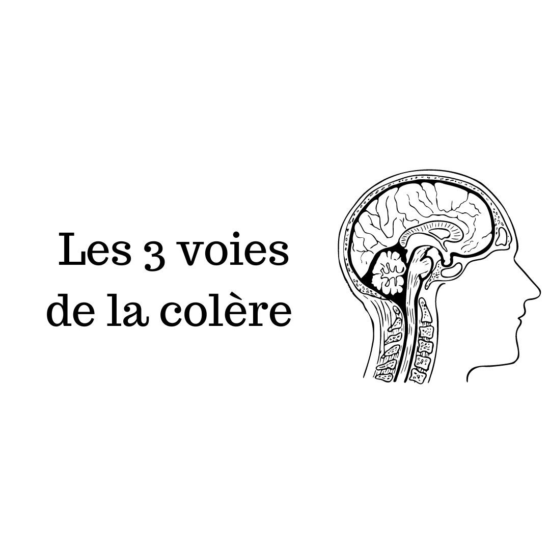 Les 3 voies de la colère