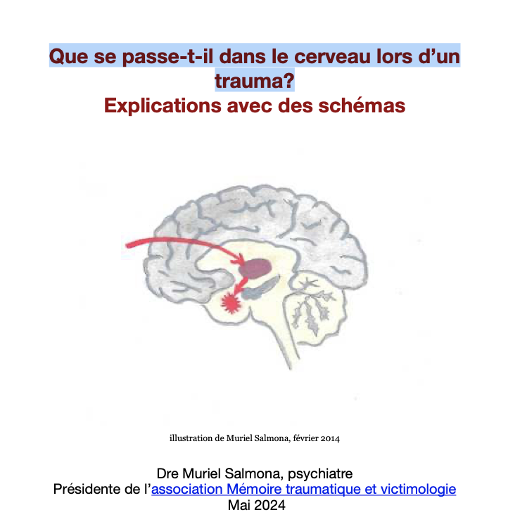 Que se passe-t-il dans le cerveau lors d’un trauma?