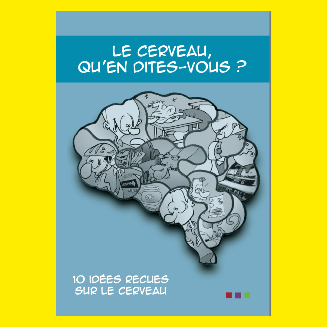 Le cerveau : 10 idées reçues à oublier
