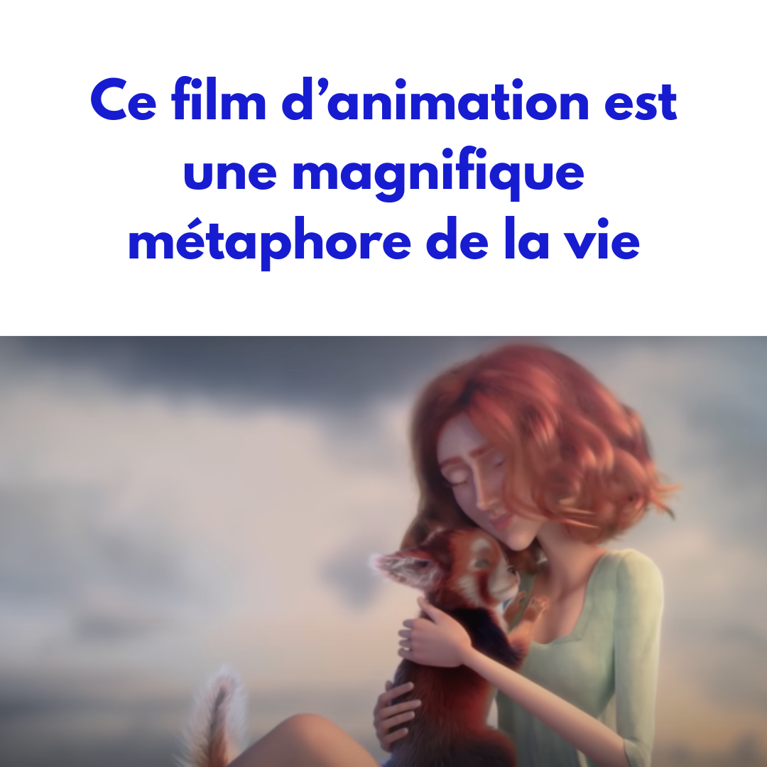 Ce film d’animation est une magnifique métaphore de la vie