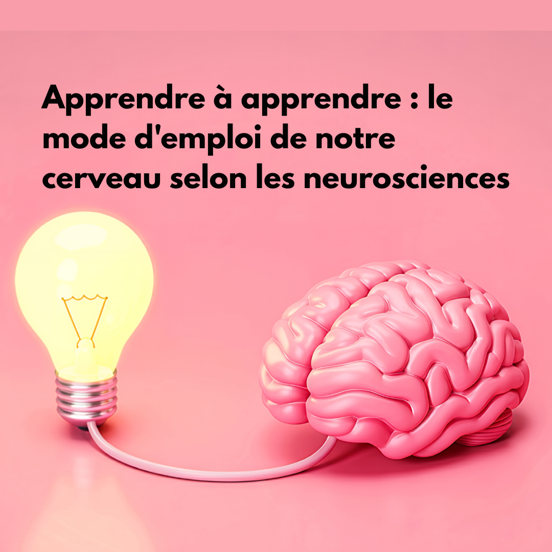 Apprendre à apprendre : le mode d’emploi de notre cerveau selon les neurosciences