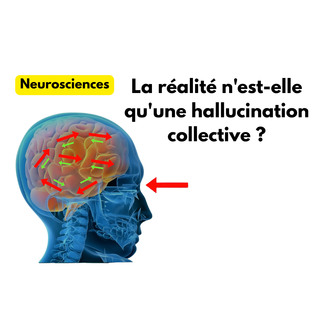 La réalité n&rsquo;est-elle qu&rsquo;une hallucination collective ? Ce que les neurosciences nous apprennent